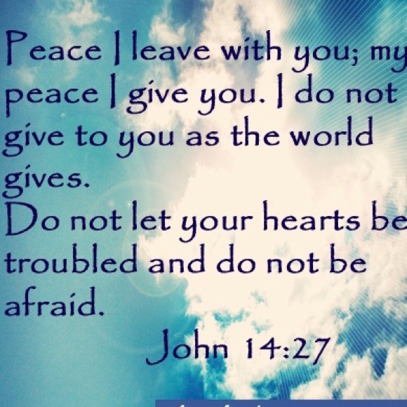 PEACOCK - REGULAR BALLERINA PRESS ON NAILS - Picture 4 of 11